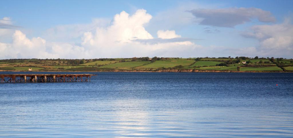 Knights Haven Bed & Breakfast Glin Eksteriør bilde