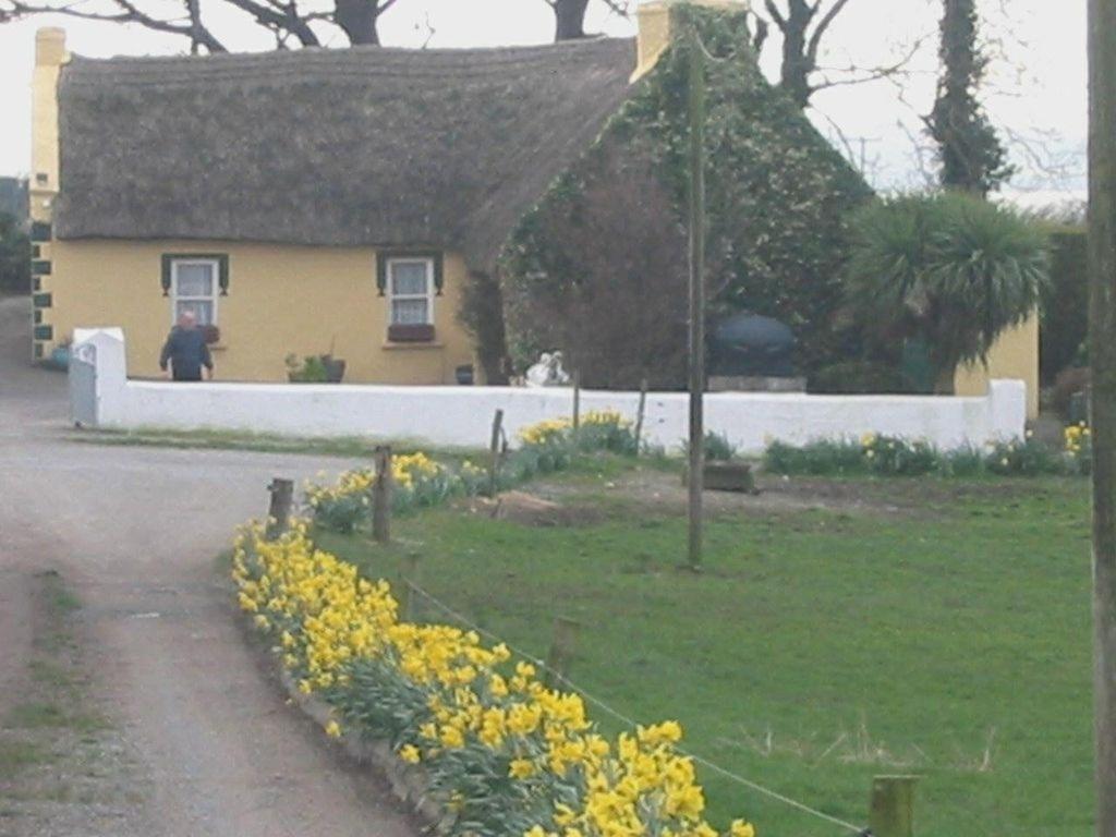 Knights Haven Bed & Breakfast Glin Eksteriør bilde